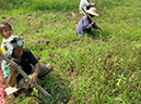 %_tempFileName04_26_12%20Thailand%20114%