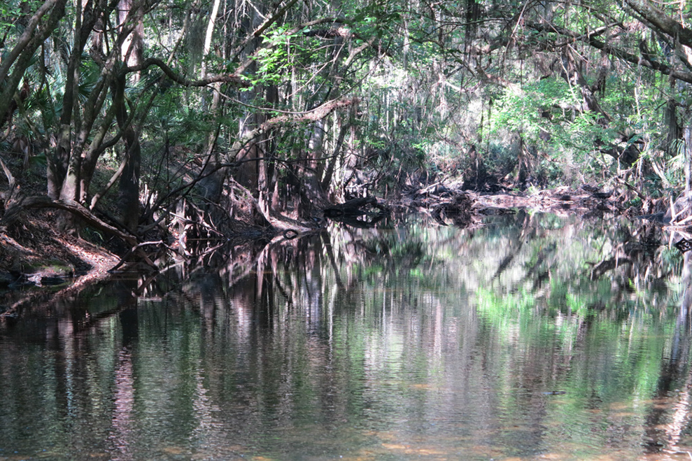 %_tempFileNameIMG_0887%