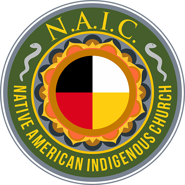 NAIC Authorized Practitioners