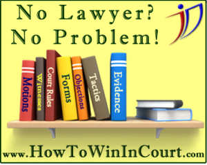 How To Win In Court