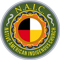 NAIC Logo image